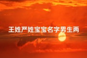 王姓严姓宝宝名字男生两个字(《王严组合，传承经典，宝宝名字新风尚》)