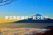 梦见两蛇缠在一起交配什么预兆_梦见两蛇相缠是什么意思最后蛇死了