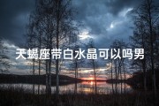 天蝎座带白水晶可以吗男生;天蝎座戴什么水晶转运