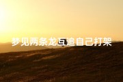 梦见两条龙互追自己打架—梦见两条龙打架后面又和好了
