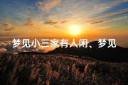 梦见小三家有人闲、梦见小三家有人闲事