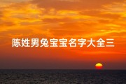 陈姓男兔宝宝名字大全三个字(陈姓男宝宝取名字大全免费)