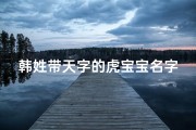 韩姓带天字的虎宝宝名字