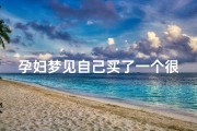 孕妇梦见自己买了一个很贵的鞋子—孕妇梦见自己买了一双鞋子