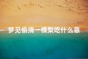 梦见偷摘一棵梨吃什么意思—梦见偷摘梨被主人看见了