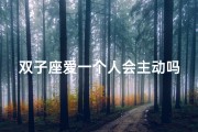 双子座爱一个人会主动吗—双子座在感情里：主动还是被动？
