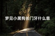梦见小黑狗长门牙什么意思_梦见一条可爱的小黑狗胖胖的