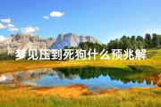 梦见压到死狗什么预兆解梦,梦见压到死狗什么预兆解梦女人