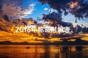 2016年称命对照表、《八字算命表16年：揭秘命运转折点》