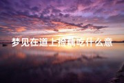 梦见在道上捡藕吃什么意思(梦见自己捡藕头子)