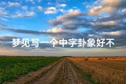 梦见写一个中字卦象好不好—梦见写艺术字