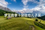 梦见我拿十块钱给儿子买饭吃—梦见我拿十块钱给儿子买饭吃什么意思