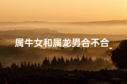 属牛女和属龙男合不合_属牛女与属龙男：合财佳缘，财富双赢