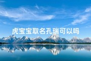 虎宝宝取名孔瑞可以吗