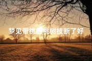 梦见带桃的桃树枝断了好不好_梦见桃树上有桃子是什么意思