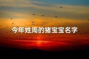 今年姓周的猪宝宝名字