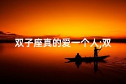 双子座真的爱一个人;双子座爱得纯粹，心无旁骛的男儿情怀
