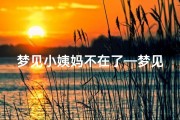 梦见小姨妈不在了—梦见大姨不在了