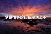 梦见很多蛇挂在屋顶上不动;梦见蛇在屋顶上是什么意思