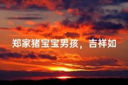 郑家猪宝宝男孩，吉祥如意好名来