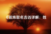 《铭炜取名吉凶详解：姓名智慧宝典》