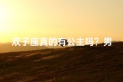 双子座真的有公主吗？男生揭秘神秘身世