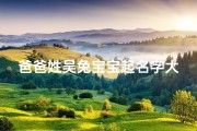 爸爸姓吴兔宝宝起名字大全(《吴姓兔宝宝起名大全：爸爸取名新灵感》)