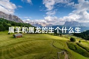 属羊和属龙的生个什么生肖