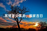 属猪老公属龙，搬家吉日选哪天？