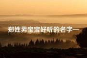 郑姓男宝宝好听的名字—《郑氏宝宝，悦耳动听的名字推荐》