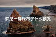 梦见一群钱串子什么预兆—梦见一堆钱串子