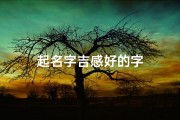 起名字吉感好的字