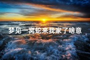 梦见一窝蛇来我家了啥意思_做梦梦见一窝蛇在家里