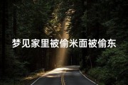梦见家里被偷米面被偷东西—梦见米被人偷了
