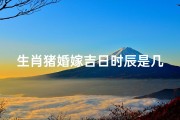 生肖猪婚嫁吉日时辰是几点-猪年婚嫁吉日：喜结良缘的最佳时辰揭晓