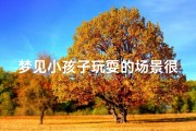梦见小孩子玩耍的场景很美,梦到小孩子在玩耍