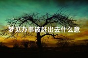 梦见办事被赶出去什么意思—梦到办事没办成是咋回事