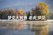 梦见大鳄鱼 老虎,梦见大鳄鱼 老虎什么预兆
