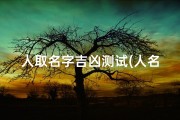 人取名字吉凶测试(人名测算吉凶免费)