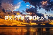 梦见儿子被同学打什么预兆(梦见儿子被同学打伤了)