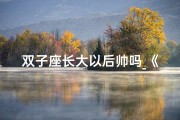 双子座长大以后帅吗_《双子座长大一岁后颜值飙升》