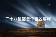 二十八星宿各个吉凶解释,《二十八宿星吉凶揭秘：运势详析视频教程》