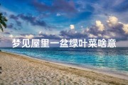 梦见屋里一盆绿叶菜啥意思—梦见屋里很多盆绿色的盆栽植物