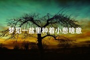 梦见一盆里种着小葱啥意思;梦见种小葱是什么预兆