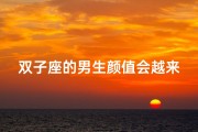 双子座的男生颜值会越来越高吗-双子座男生长的帅吗