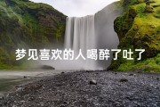 梦见喜欢的人喝醉了吐了好多,梦见喜欢的人喝醉了吐了好多酒
