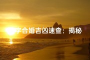 八字合婚吉凶速查：揭秘姻缘运势