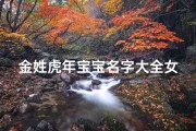 金姓虎年宝宝名字大全女孩、《金虎宝宝女孩名字精选：寓意吉祥，美丽动人》