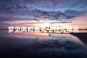 梦见两粒鱼丸子什么预兆—梦见两粒鱼丸子什么预兆呢