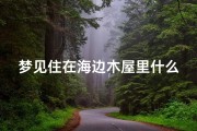 梦见住在海边木屋里什么意思,做梦梦见住在海边